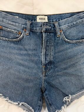 Agolde Light Blue High-Rise Parker  Shorts